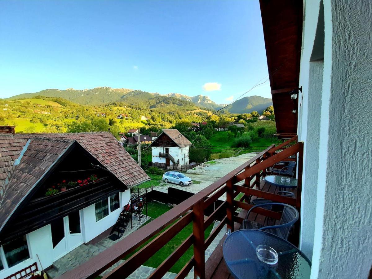 Milea'S Guesthouse Bran  Ngoại thất bức ảnh